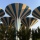 Mushroom H2O Towers in Kuwait